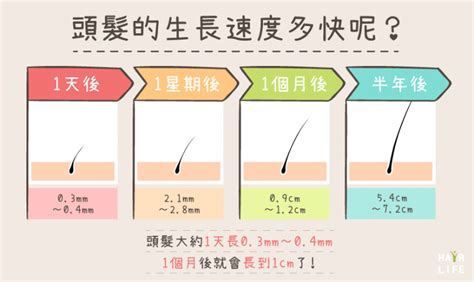 頭髮過長 健康成長